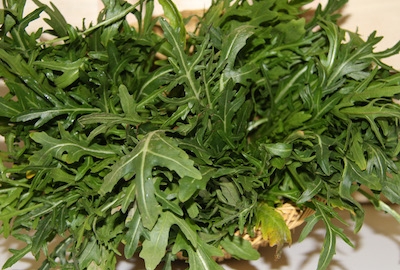 Rucola mazzo circa 100 gr