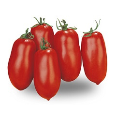 pomodoro san marzano