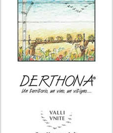 derthona vino bianco  