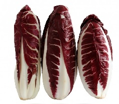 radicchio treviso precoce circa 250 gr